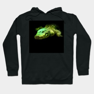 Alligator Hoodie